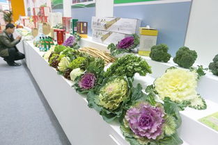 全国食用农产品市场价格稳中有升 12月3日至9日环比上涨0.6%